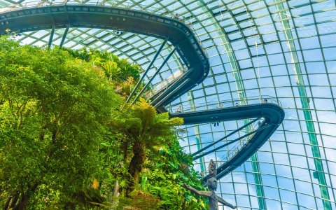 Singapur - wycieczka z DiscoverAsia (10) Cloud Forest.jpg